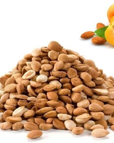 Himalayan Apricot Bitter Seeds - Sourced From Himalaya - Natural