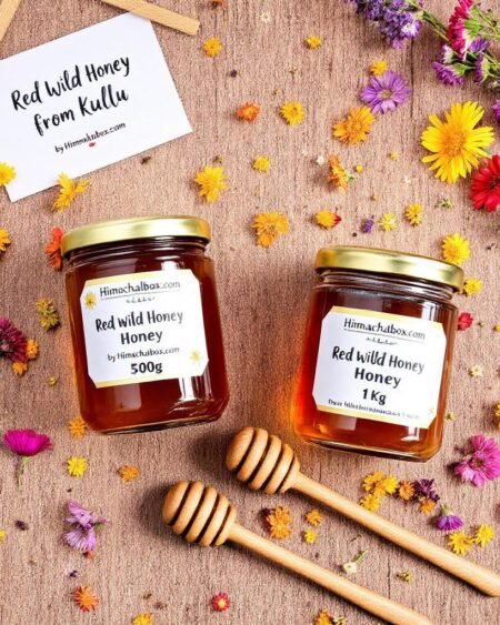 Himachali Wild Bee Honey – Raw Himalayan Forest Honey