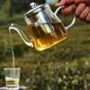 Himalayan Tea