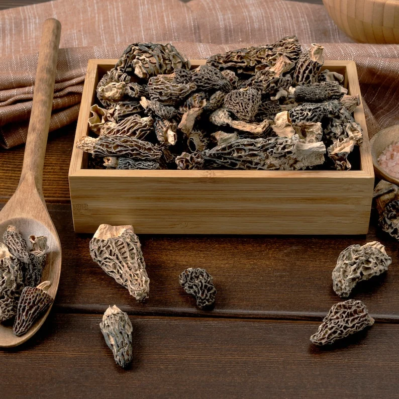 Wild Morel Mushroom - Guchhi Dried 3- himachalbox