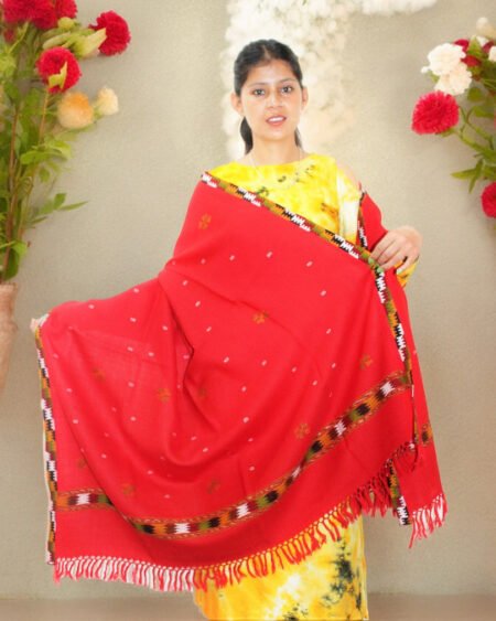 Luxurious Kullu Handloom Wool Shawl - Women’s Heritage Wrap Himachal Box