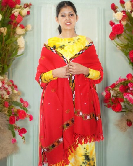 Luxurious Kullu Handloom Wool Shawl - Women’s Heritage Wrap Himachal Box
