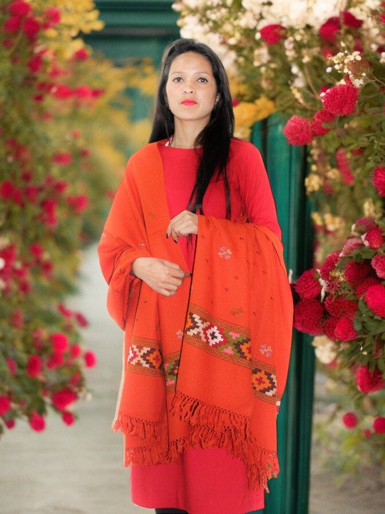 Women's Winter Essential - Authentic Kullu Handloom Wool Shawl Himachal Box