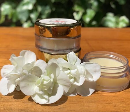 Nourishing Apricot Lip Balm | Organic Lip Care from Kullu Valley