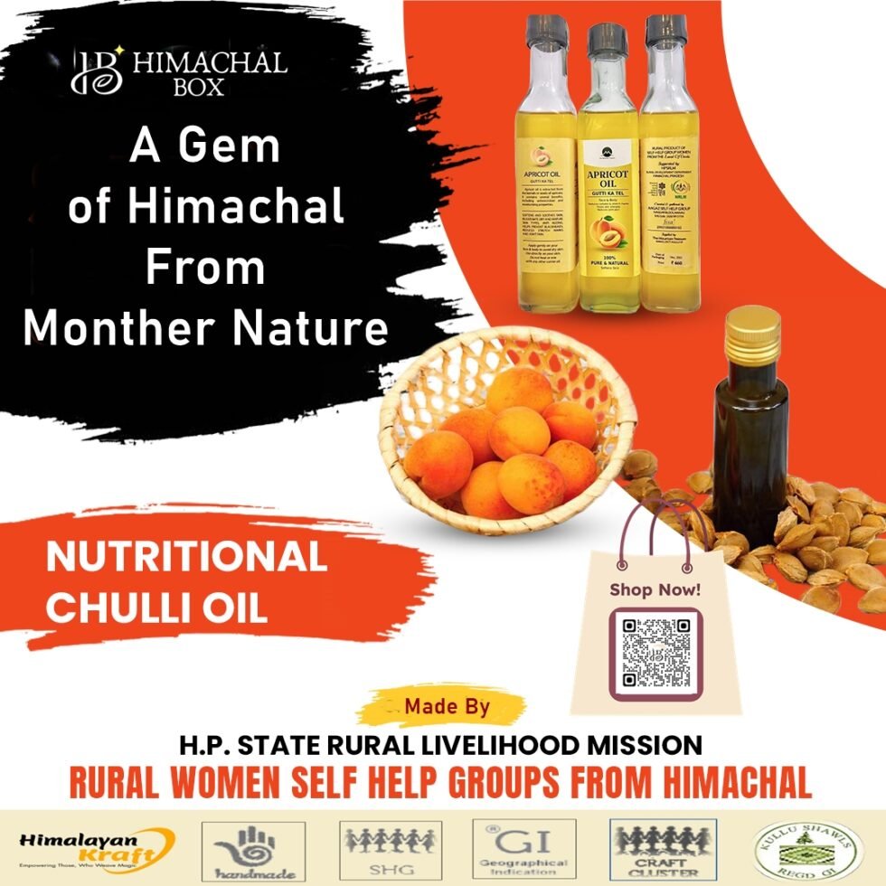 Chuli ka Tel - Chulli Oil- Organic Apricot Oil Himachal - Himachalbox.com