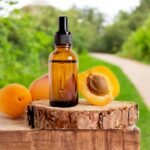 Chulli Oil - Apricot Oil- Gutti Ka Tel- Wild Organic Extracted Chuli Apricot Oil - Bitter Apricot Oil - Himachalbox.com