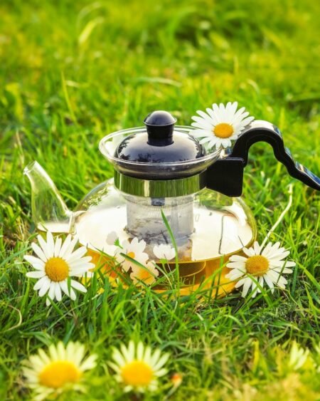 Dried chamomile flowers in a pouch and cup of herbal tea, organically grown and hand-packed in the hills of Himachal – calming, aromatic, and caffeine-free.