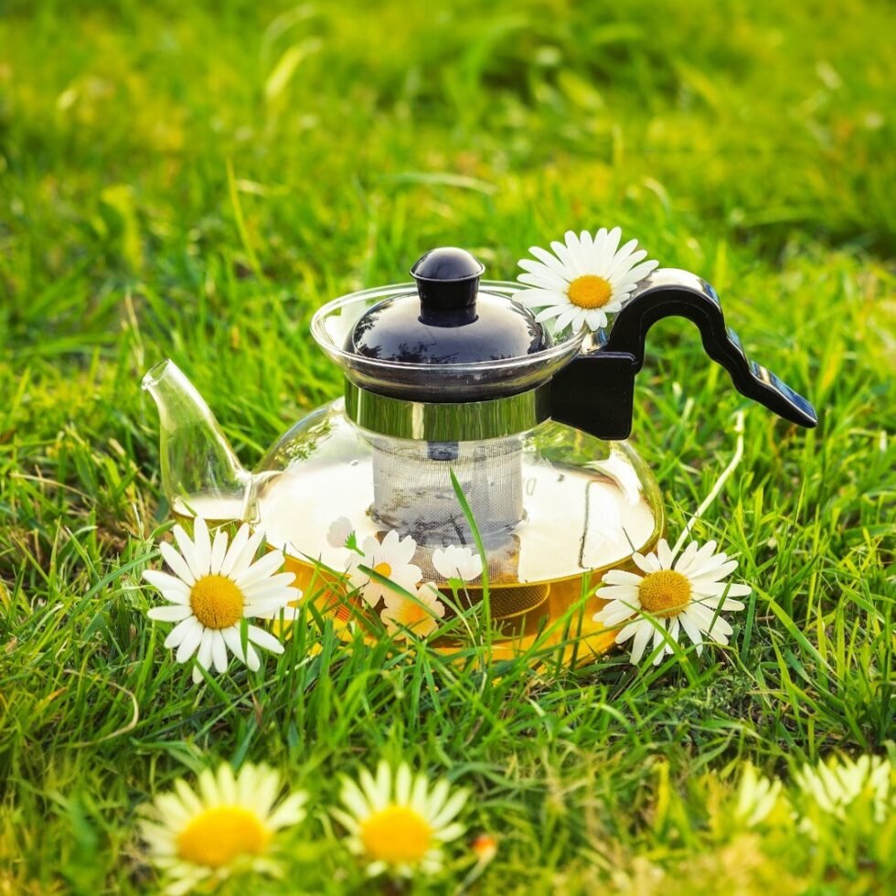 Dried chamomile flowers in a pouch and cup of herbal tea, organically grown and hand-packed in the hills of Himachal – calming, aromatic, and caffeine-free.