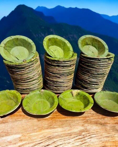 Himachali Dham Disposal Palash Leaf Plates - Bio-Degradable & Stylish 3- Eco Friendly - Himachalbox.com