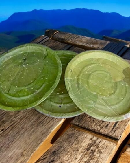 Himachali Dham Disposal Palash Leaf Plates - Bio-Degradable & Stylish - Eco Friendly- Hand made 3- Himachalbox.com