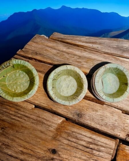 Himachali Dham Disposal Palash Leaf Plates - Bio-Degradable & Stylish 3- Eco Friendly - Himachalbox.com