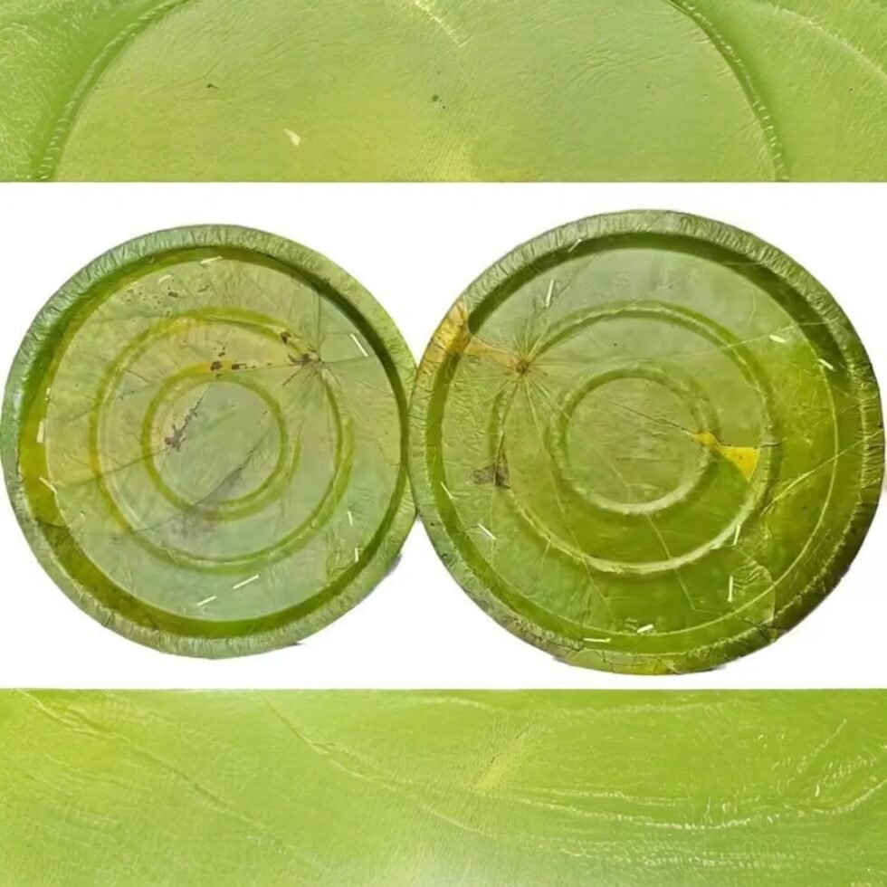Himachali Dham Disposal Palash Leaf Plates - Bio-Degradable & Stylish - Eco Friendly- Hand made 3- Himachalbox.com