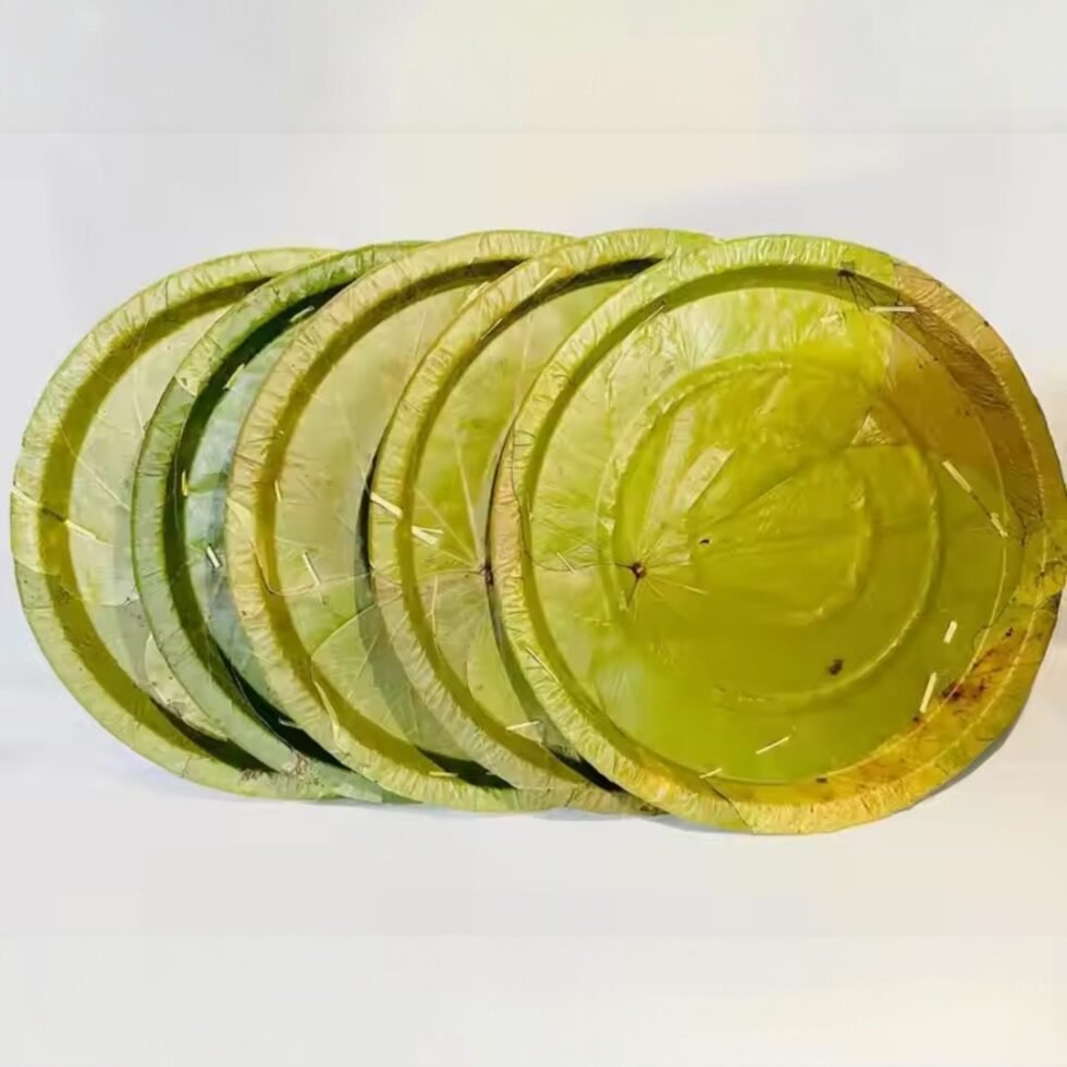 Himachali Dham Disposal Palash Leaf Plates - Bio-Degradable & Stylish - Eco Friendly- Hand made 3- Himachalbox.com