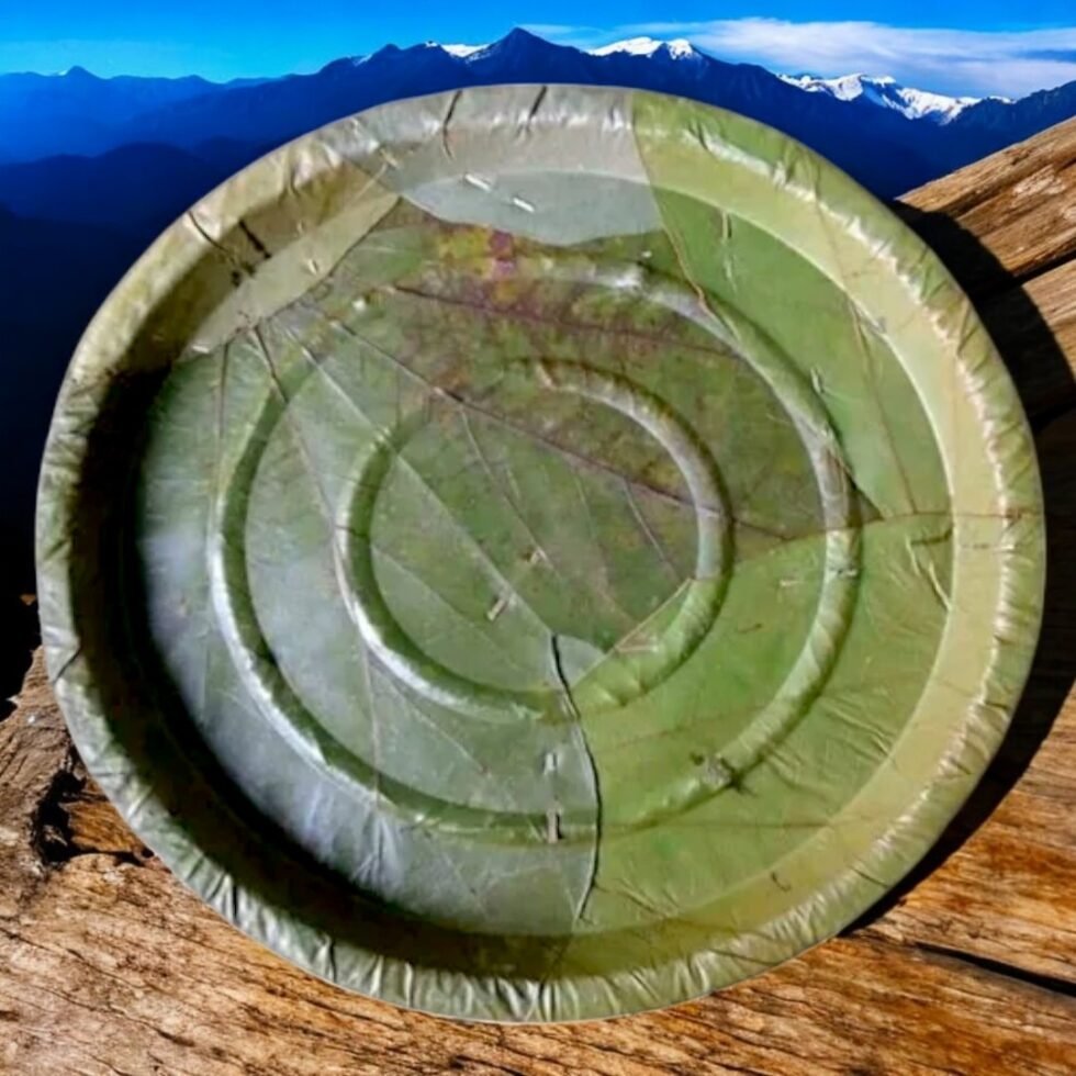 Himachali Dham Disposal Palash Leaf Plates - Bio-Degradable & Stylish - Eco Friendly- Hand made 3- Himachalbox.com