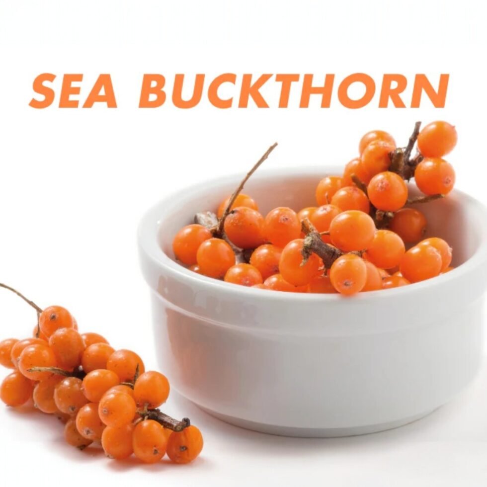 Seabuckthorn Pulp Juice – Himalayan Superfruit Beverage​ - Himachalbox.com