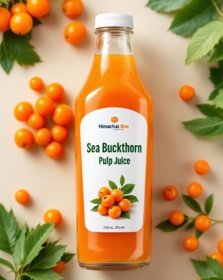 Seabuckthorn Pulp Juice – Himalayan Superfruit Beverage​