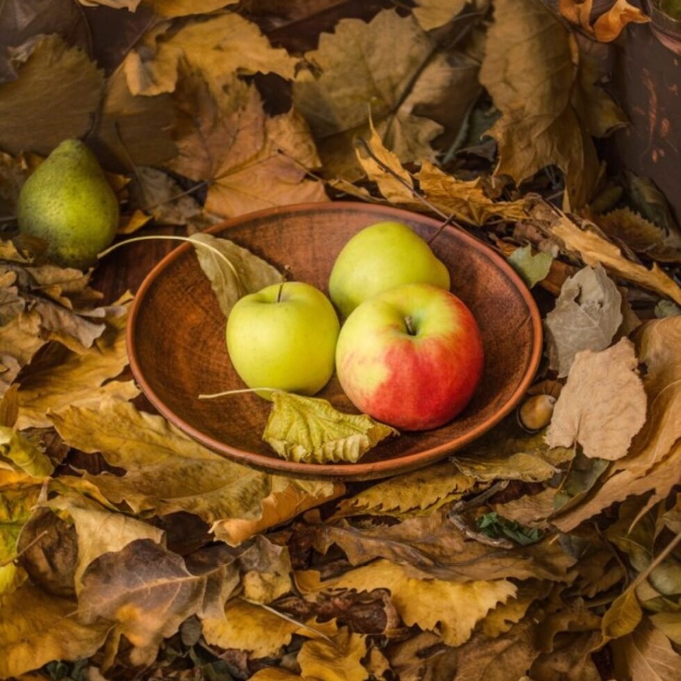 Hiamchal Apples Jam - Home made - No Chemical - Order FromHimachalbox.com