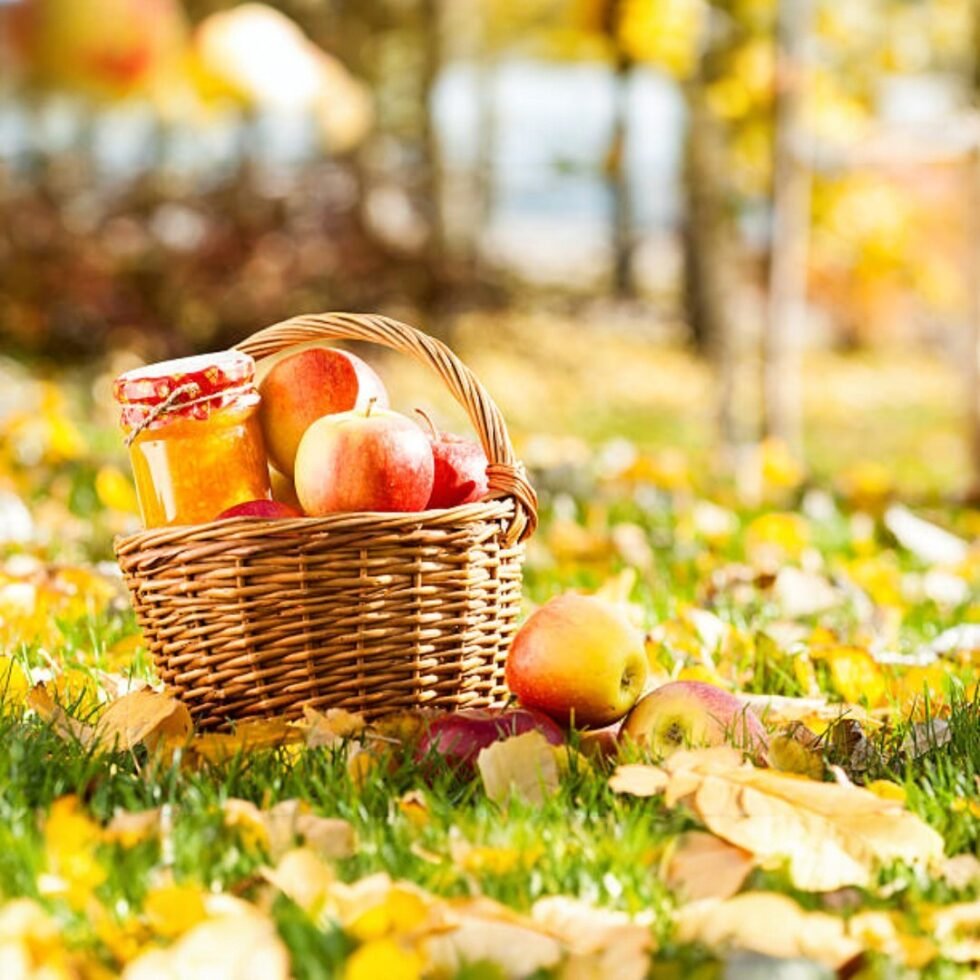 Hiamchal Apples Jam - Home made - No Chemical - Order FromHimachalbox.com