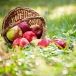 Hiamchal Apples Jam - Home made - No Chemical - Order FromHimachalbox.com