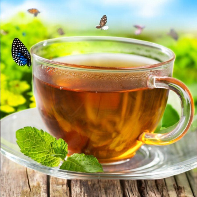 Himachal Box Pure Kangra Tea- hand Picked From himalaya