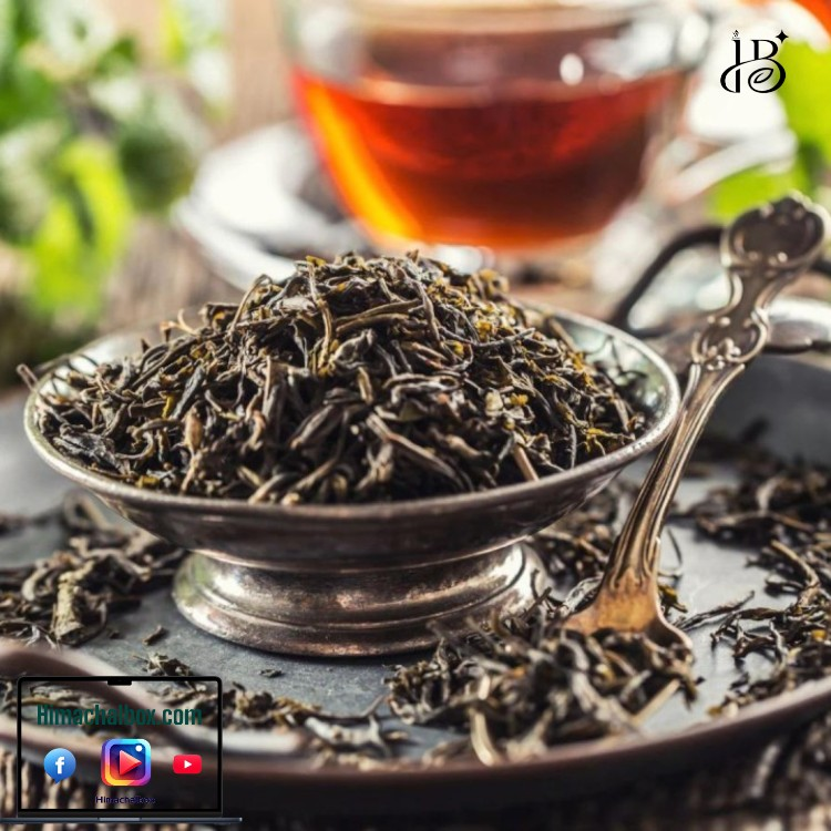 Himachal Box Pure Kangra Tea- hand Picked From himalaya4