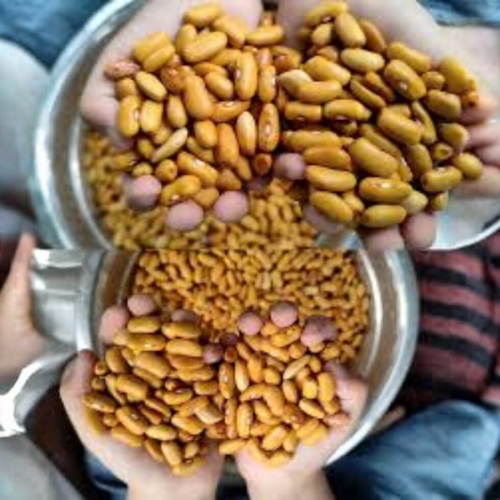 Himachali Yellow Pahadi Organic Rajma Direct From Mountains Hand Picked- Himachalbox.com