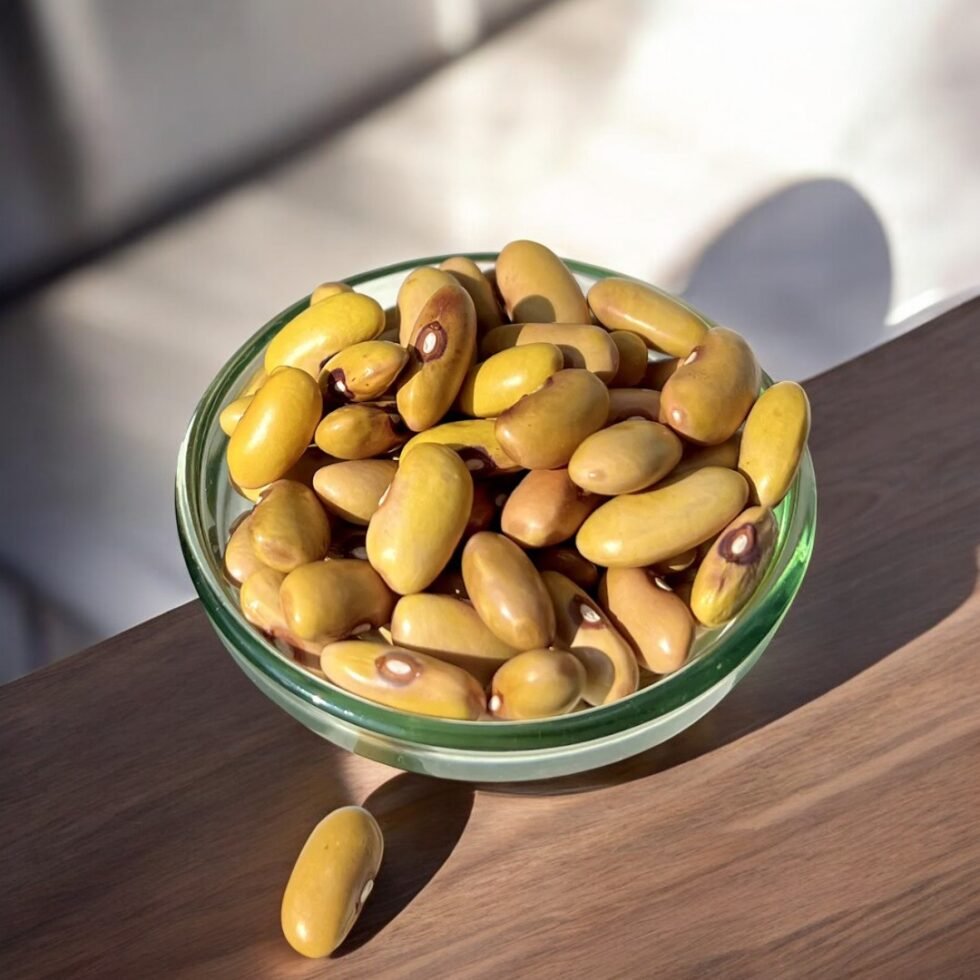 Himachali Yellow Pahadi Organic Rajma Direct From Mountains Hand Picked- Himachalbox.com