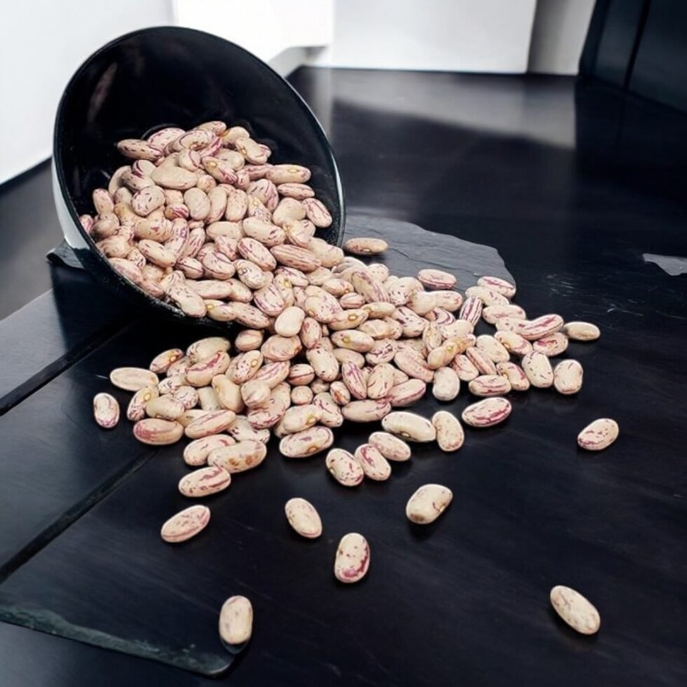 Organic Chitra Rajma From Mountains from Chamba Kinnaur - Local Grown Hand Picked - Himachalbox.com