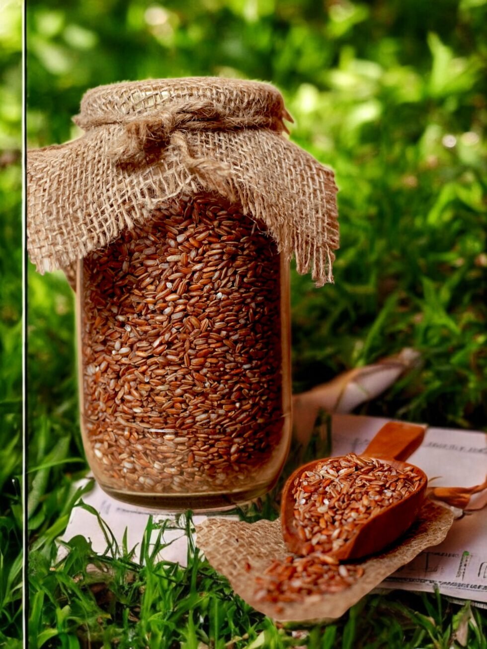 Organic Red Rice Home Grown Chamba 2 - Himachalbox.com