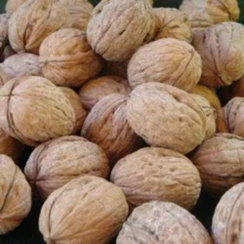 Premium Himalayan Organic Walnuts (Akhrot) Kagzi– 100% Natural & Handpicked