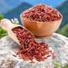 Red Rice