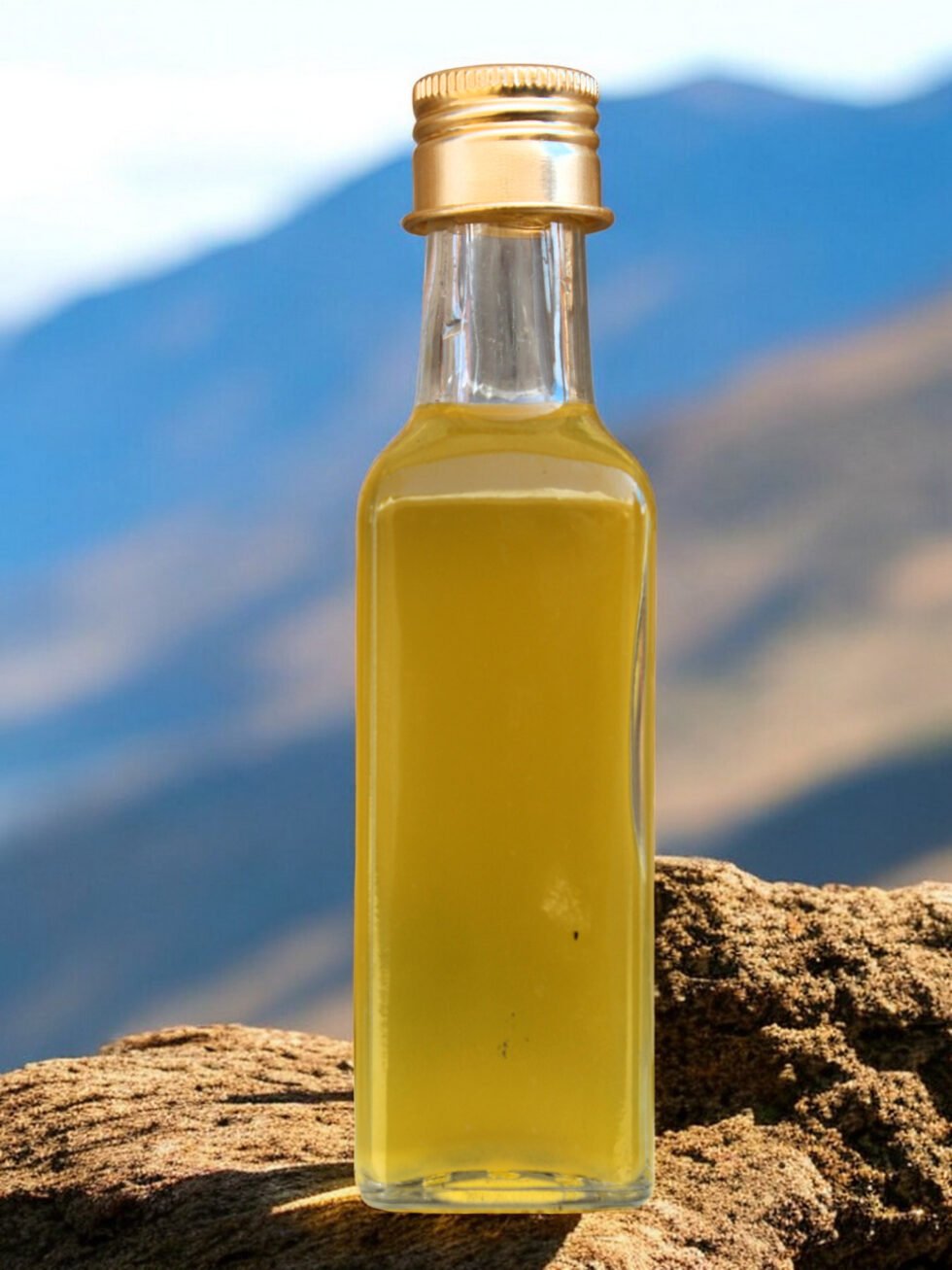 Cold-Pressed Walnut Oil – Pure Himalayan Extract 100 ml HimachalBox