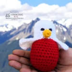 Handmade Crochet Bird Toy – Crafted by Women SHGs of Kullu HimachalBox.com