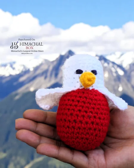 Handmade Crochet Bird Toy – Crafted by Women SHGs of Kullu HimachalBox.com