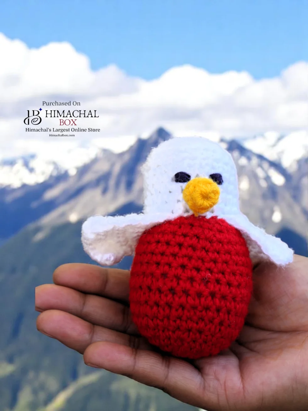 Handmade Crochet Bird Toy – Crafted by Women SHGs of Kullu HimachalBox.com