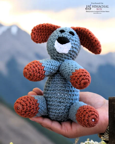 Handmade Crochet Dog Toy – Crafted by Kullu SHG Women Exclusive on HimachalBox.com
