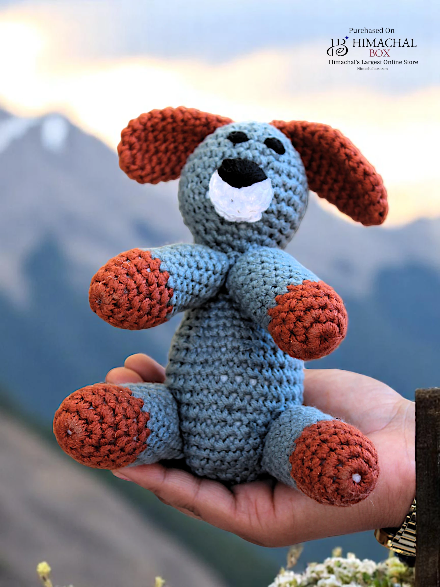 Handmade Crochet Dog Toy – Crafted by Kullu SHG Women | Exclusive on HimachalBox.com