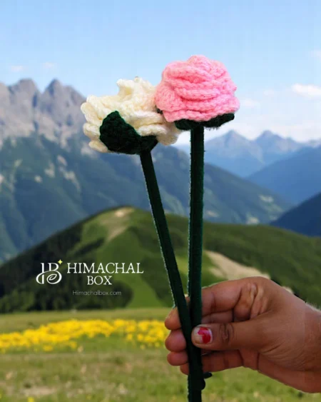 Handmade Crochet Pink & White Rose – Himachal Artistry in Bloom