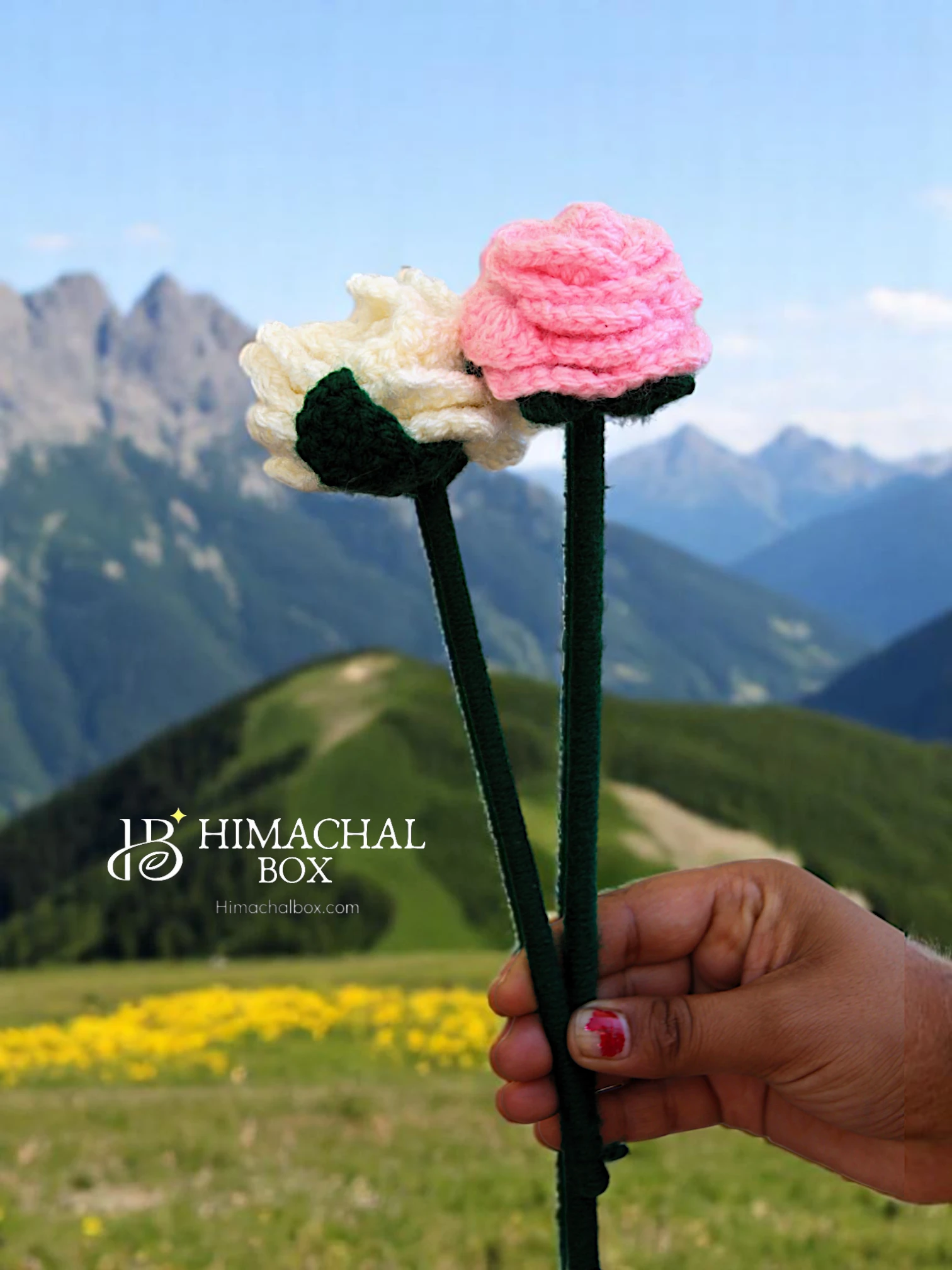 Handmade Crochet Pink & White Rose – Himachal Artistry in Bloom