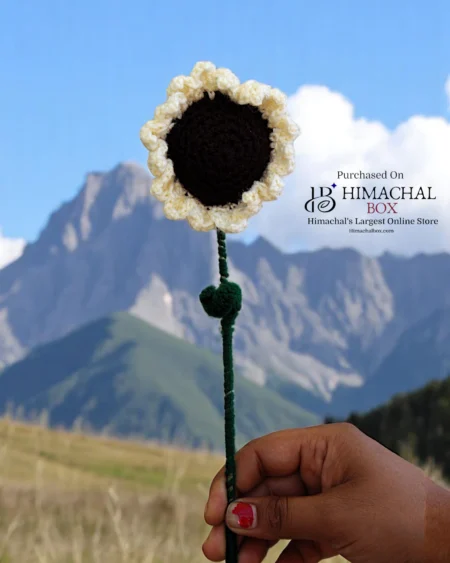 Handmade Crochet White Sunflower – Made in Kullu Of Himachal