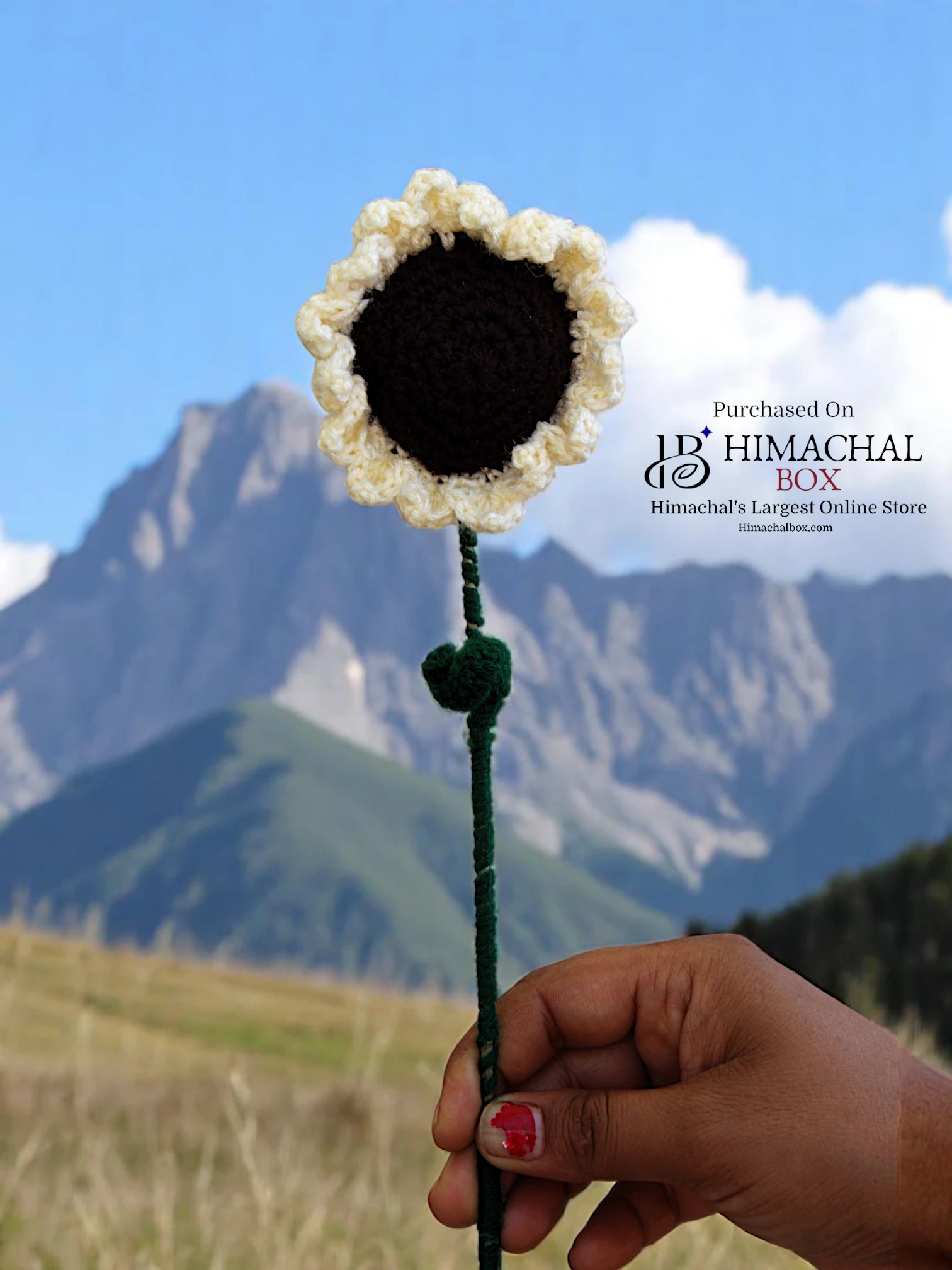Handmade Crochet White Sunflower – Made in Kullu Of Himachal