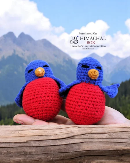 Handmade Hand Crochet Blue Bird Pair – Adorable Decorative Toy Set | Available on HimachalBox