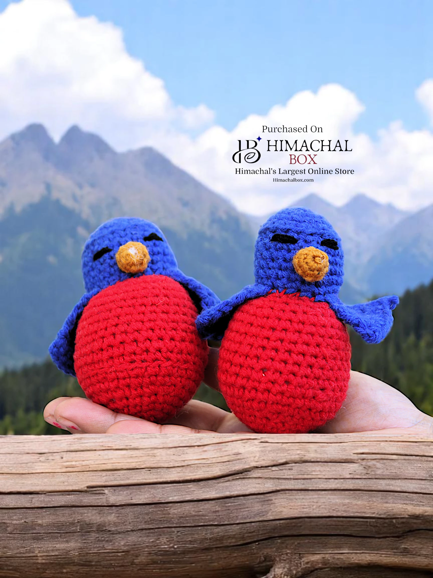 Handmade Hand Crochet Blue Bird Pair – Adorable Decorative Toy Set | Available on HimachalBox