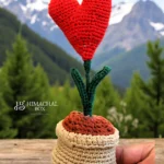 Handmade Hand Crochet Heart Plant – Cute Woolen Pot Toy for Gifting and Decor - Himachalbox.com