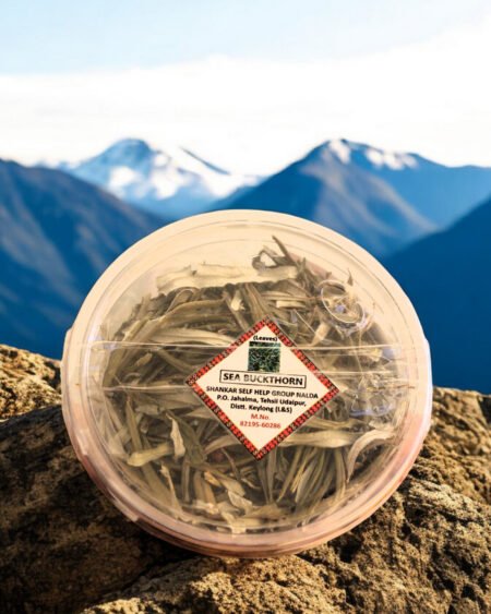Himalayan Sea Buckthorn Leaf Tea – Wild Herbal Infusion for Wellness (50mg)