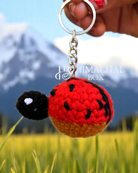 Handmade Crochet Keychain – Cute Himachali Accessory by Local Artisans | HimachalBox