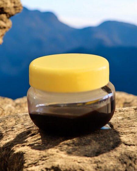 Pure Himalayan Shilajit Resin – Authentic Energy & Vitality Tonic from Lahaul(10g) HimachalBox