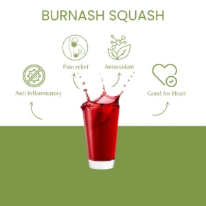 Rhodo (Buranshबुरांश) Juice Squash – A Himalayan Elixir - Himachalbox.com