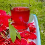 Rhodo (Buranshबुरांश) Juice Squash – A Himalayan Elixir - Himachalbox.com