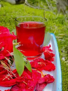 Rhodo (Buranshबुरांश) Juice Squash – A Himalayan Elixir - Himachalbox.com
